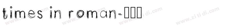 times in roman字体转换